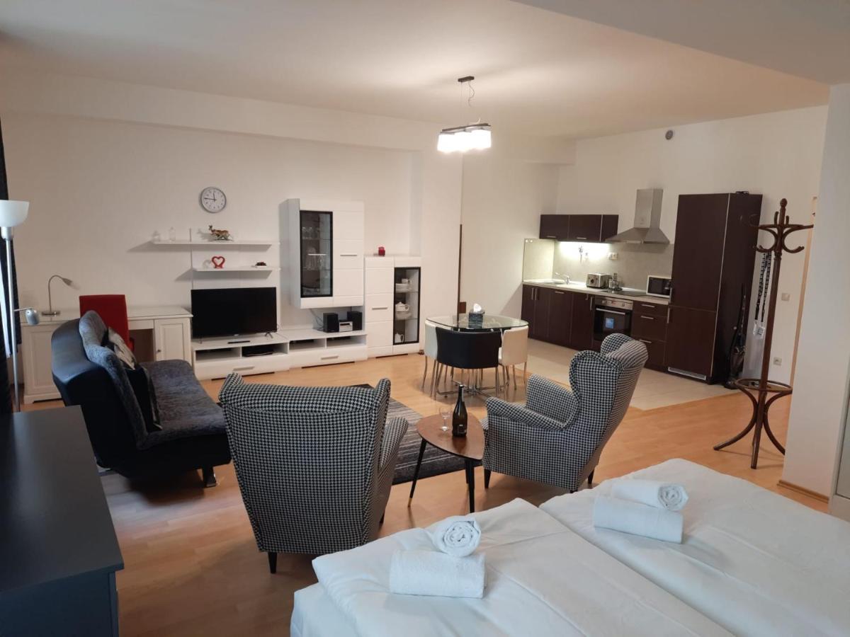 Apartman Nad Kolonadou カルロヴィ・ヴァリ エクステリア 写真